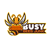 BUSY BEES JUNK REMOVAL SCOTTSDALE