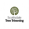 Scottsdale Tree Trimming