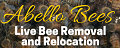 Abello Bees Glendale