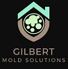 Mold Removal Gilbert Results