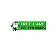 Tree Service in Mesa AZ